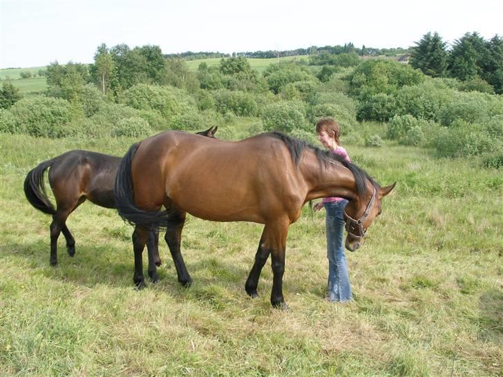 Traver blue girl billede 6