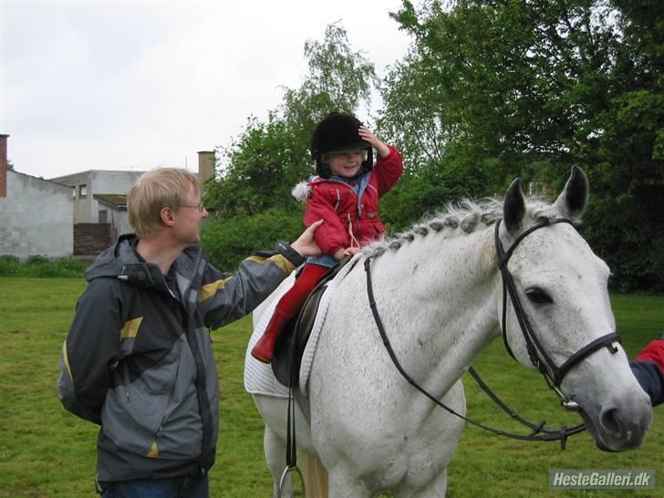 Anden særlig race Triton billede 6