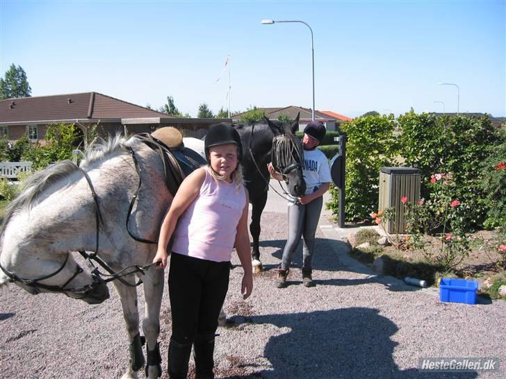 Anden særlig race Triton billede 8