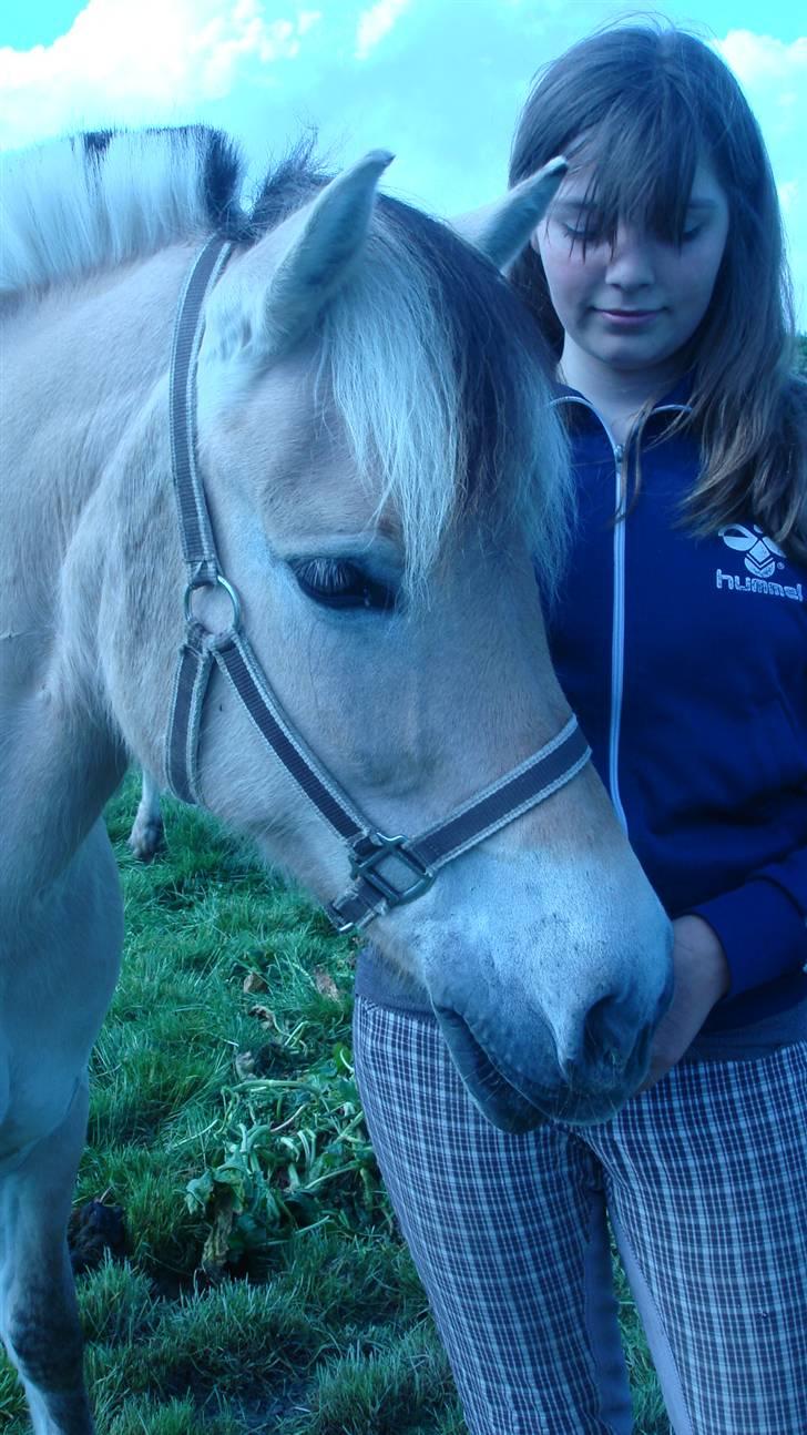 Fjordhest Luna :) - » Det er der en der har lavet for mig, smukt <3 (: billede 10