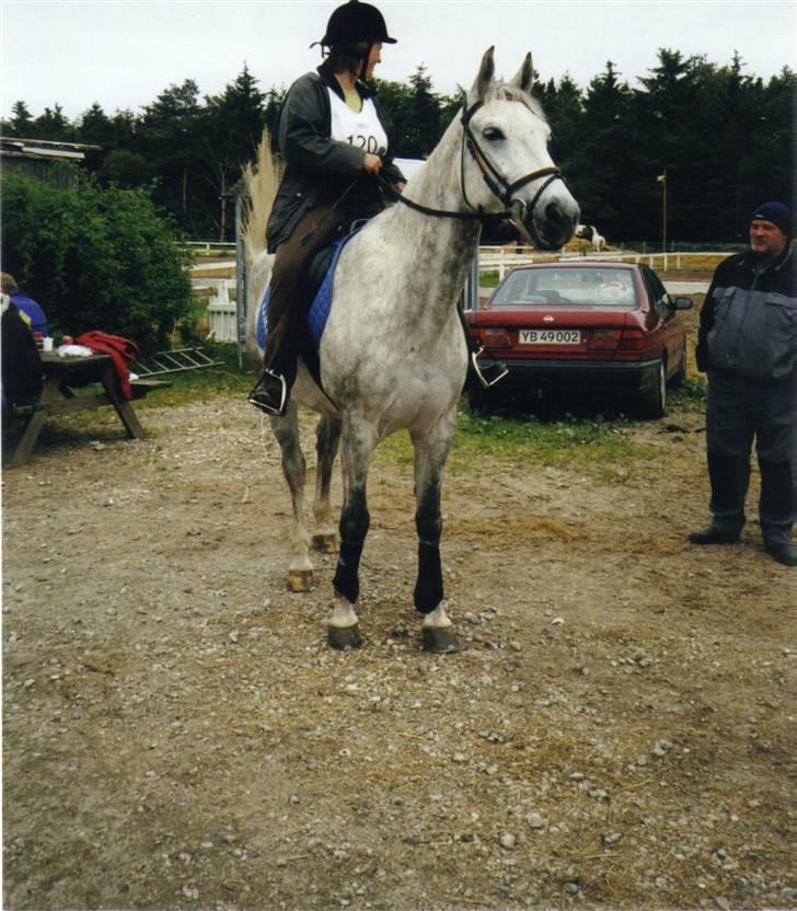 Anden særlig race Bailey *RIP* - Stævne i Albertslund d. 27-05-2007 billede 11