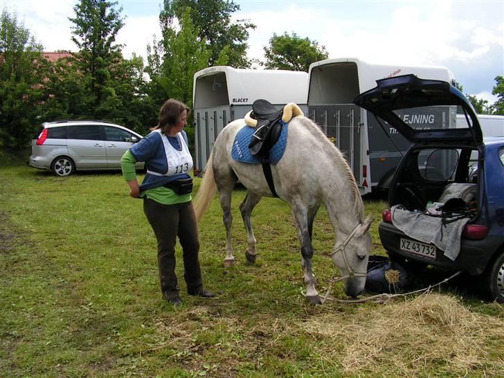 Anden særlig race Bailey *RIP* - Stævne i Hedeland d. 23-06-2007. billede 13