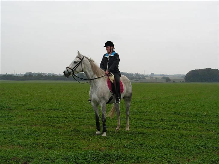 Anden særlig race Bailey *RIP* - 23-September-2007 (super god mark at ride på).  billede 16