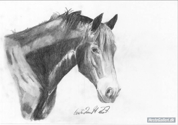 Oldenborg Grock Birkehøj *Solgt* - super flot tegning af grock.. Lavet af cecilie.. Tak :0) billede 20