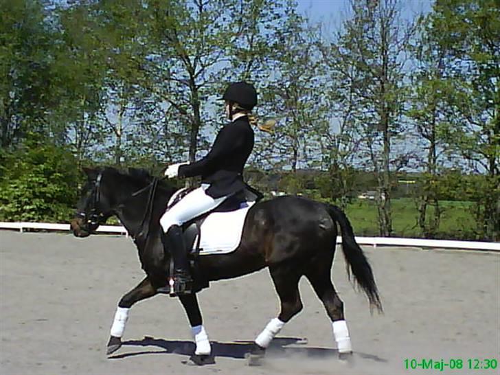 Anden særlig race dinna *for altid i mit hjerte! * - ad midter linien lb 1 eller 2:D vandt lb1´en og 1 uplaceret i lb2´en(nummer2) billede 13