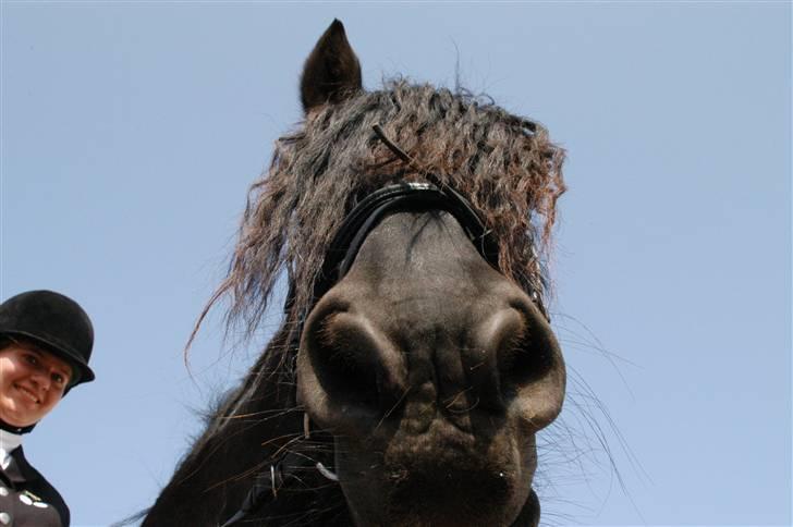 Frieser Evert fän Bartlehiem - Jeg elsker dig Zafir min dreng !<3 Vi fik en 3. plads d. 31. maj Fotograf: Michelle´s mor billede 14