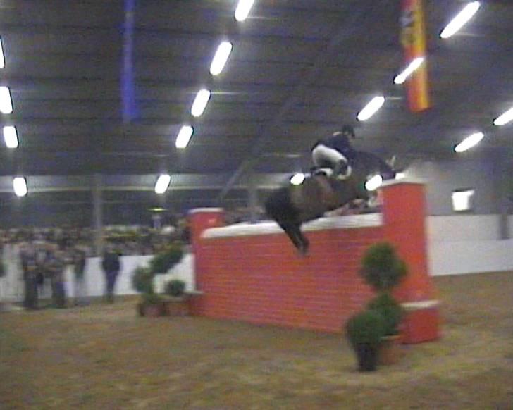 Holstener A. K´s Lasall 36 - Lasall over 2 m mur i Tyskland billede 16