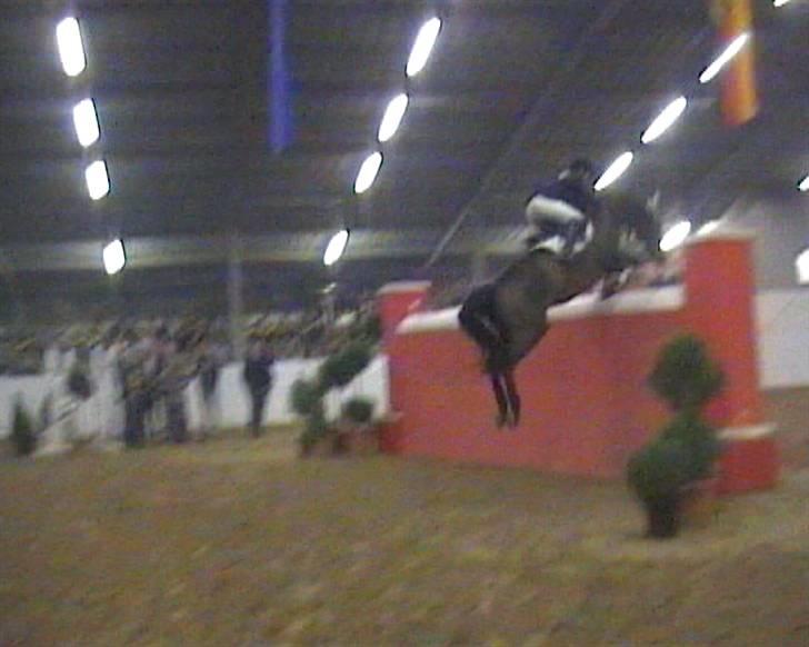 Holstener A. K´s Lasall 36 - Lasall over 2 m mur i Tyskland billede 17