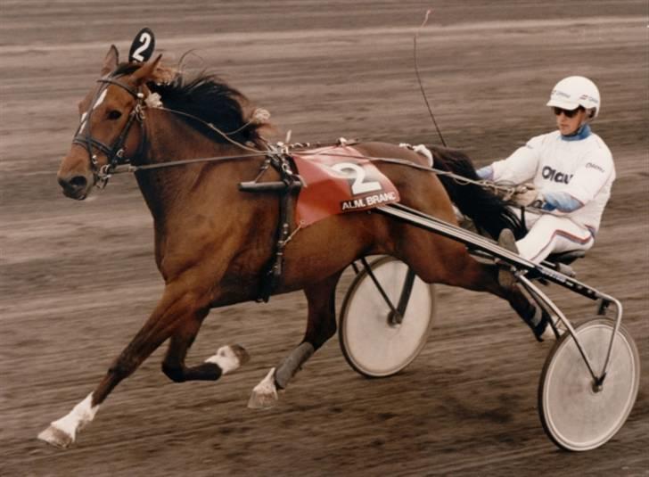 Traver Seiko Badger - - " På vej til sejr"..!! billede 5