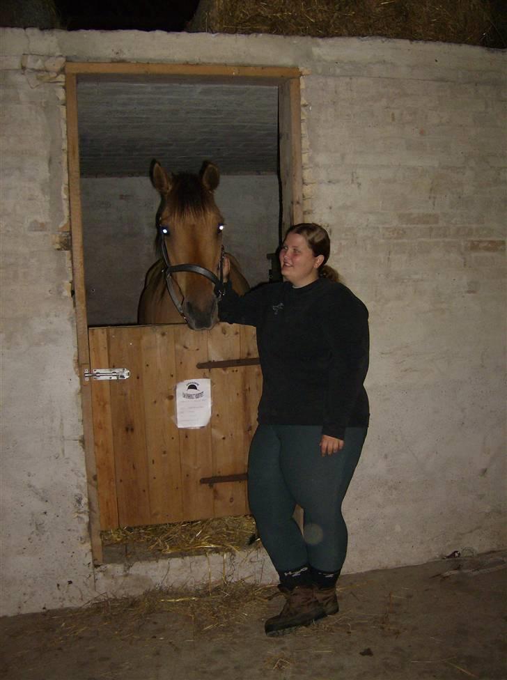 Anden særlig race Vesterhedes Charmeur  - Ankommet til Fyn... Vores første distancestævne. billede 6