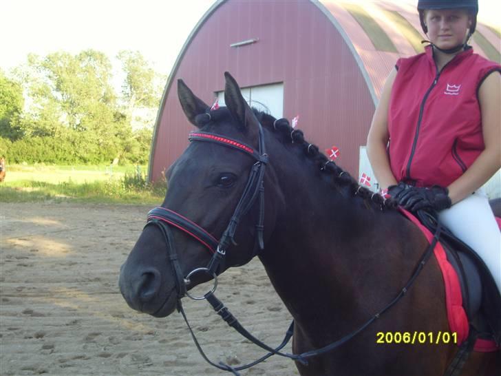 Anden særlig race Litus - På min fødseldag billede 14