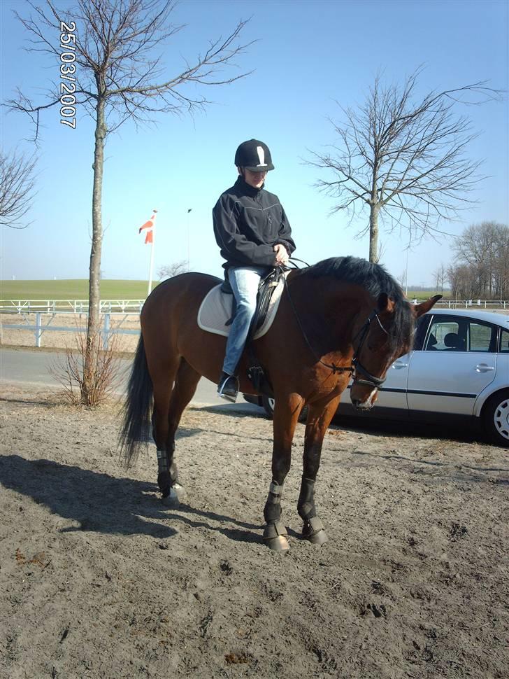 Traver Kalibra Orholm - Min Pelle på min hyp... billede 16