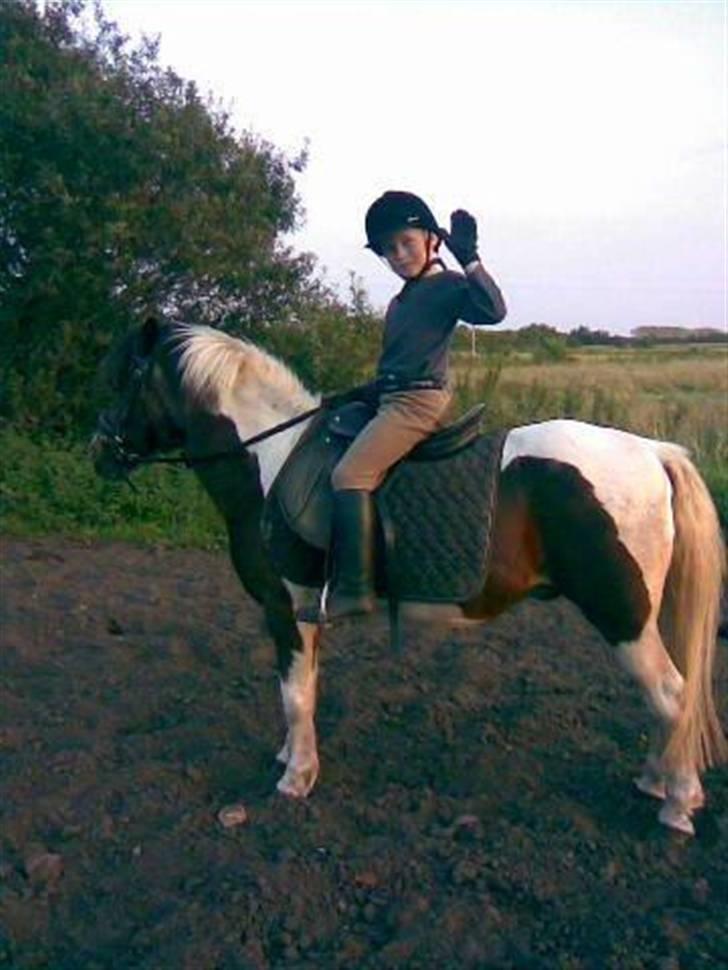 Anden særlig race Dixie R.I.P. - Dixie og Søren siger hej til Dixies profil.. håber i lægger en bedømmelse og en hilsen billede 1