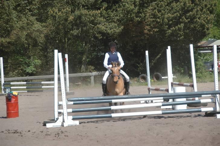 Anden særlig race Julie - stævne lc o8 hals rideklub. billede 4