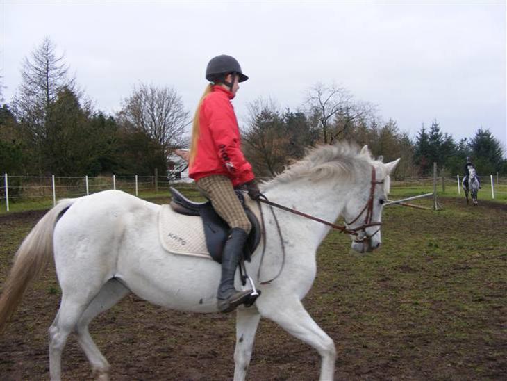 {{currentPhoto.altText}} billede {{currentPhoto.number}}