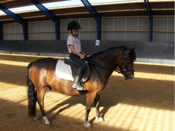 {{currentPhoto.altText}} billede {{currentPhoto.number}}