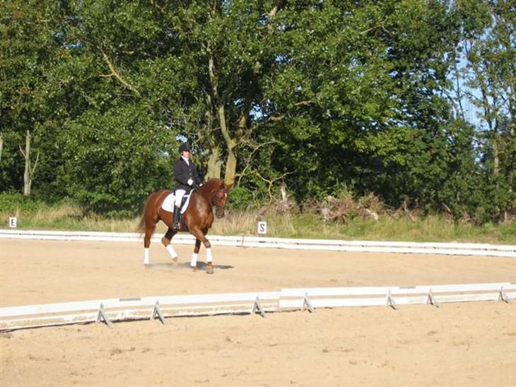 {{currentPhoto.altText}} billede {{currentPhoto.number}}