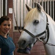 Anden særlig race Laban 