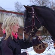 Anden særlig race Mr.Copperfield