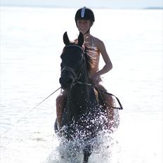 Anden særlig race Mictor<3.