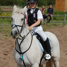 Anden særlig race IL TEMPO GIGANTE "SOLGT"