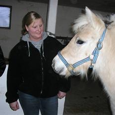 Fjordhest Stella*givet til moster* 