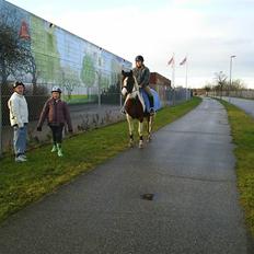 Pinto Kiara *Gammel part*