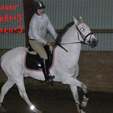 Anden særlig race MILLENIUM(TILBAGE LEVERT)