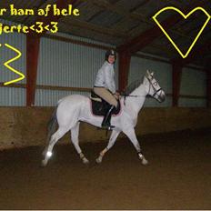 Anden særlig race MILLENIUM(TILBAGE LEVERT)