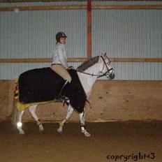 Anden særlig race MILLENIUM(TILBAGE LEVERT)