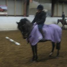 Anden særlig race juni venture