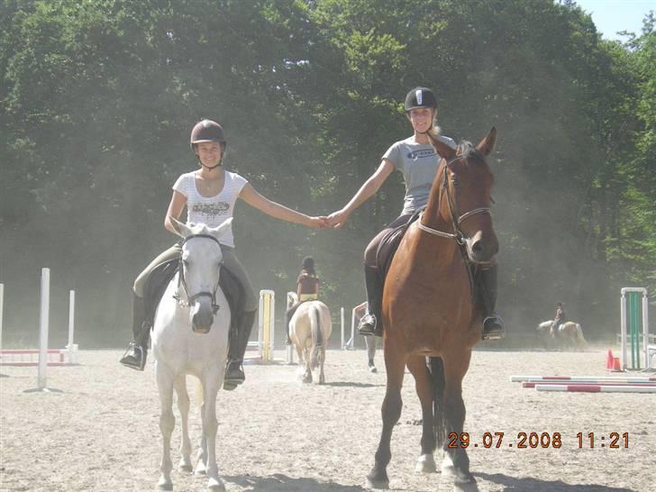 New Forest Amber - solgt :( - STOR og lille (: <3 billede 9