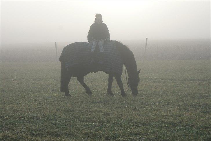 Anden særlig race Mictor<3. - Vores ALLER sidste dag sammen. Stod *biiiiib* tidligt op og hundefrys, kun for at være sammen med dig! R.I.P Mictor! Endnu en lysende stjerne på himlen, du vil ALDRIG blive glemt!<3. billede 1