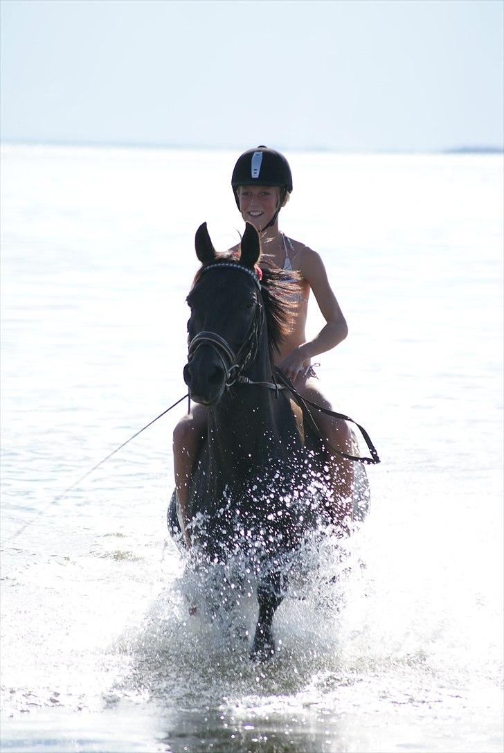 Anden særlig race Mictor<3. - Ved vandet i Trend 2010:´). Den bedste sommer i mit liv! Jeg delte den med dig basse! Måske også vores sidste sommer! Hold nu fast jeg er glad for at den blev så god!:´( billede 2