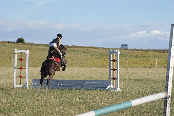 Anden særlig race Mictor<3. - Plasticvand i Løgstør juli 2010:-* billede 4