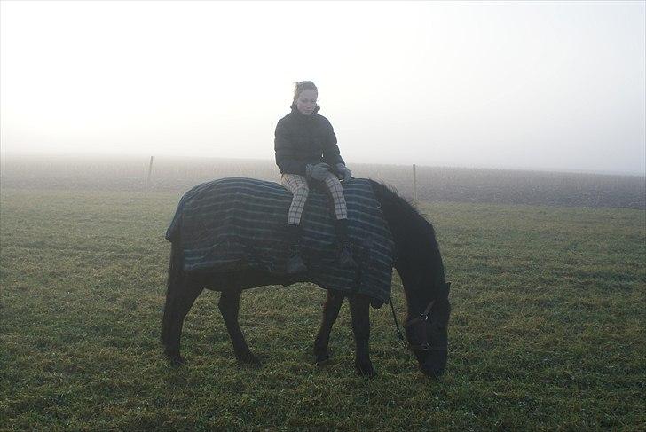 Anden særlig race Mictor<3. - Vores ALLER sidste dag sammen. Stod *biiiiib* tidligt op og hundefrys, kun for at være sammen med dig! R.I.P Mictor! Endnu en lysende stjerne på himlen, du vil ALDRIG blive glemt!<3. billede 5