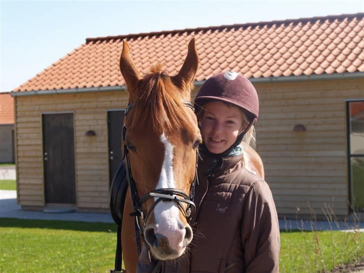 Arabisk fuldblod (OX) Ca Mazel - Mazel og jeg en tur i Kerteminde. Mazel er træt  :)  d.18/4-08 billede 12