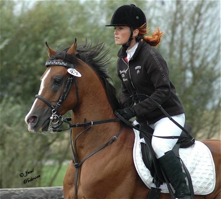 Arabisk fuldblod (OX) Brahim - Brahim og jeg til stævne i Arabisk Rideklub 2006 billede 1