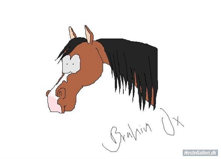 Arabisk fuldblod (OX) Brahim - Tegnet af © katarina emilie - stald nørholm <3  billede 6