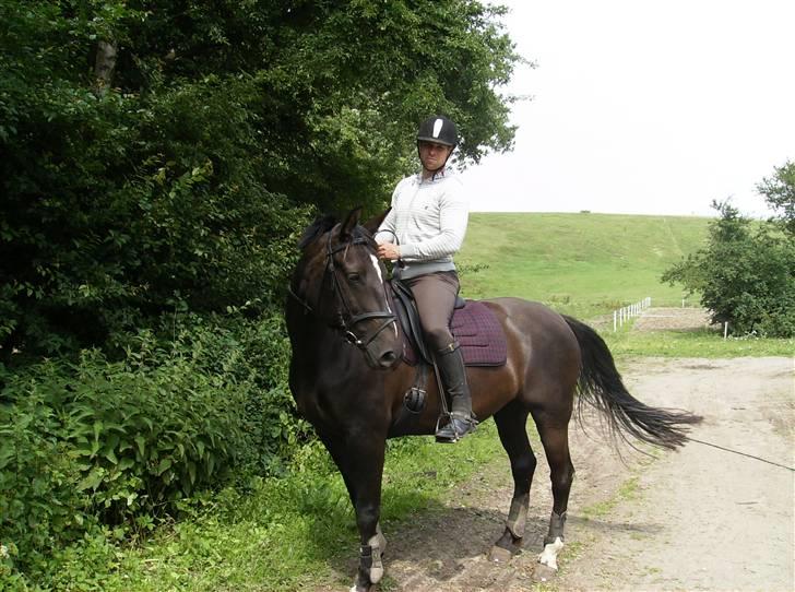 Dansk Varmblod Pernille af Skovly*R.I.P* - Thomas og Pernille billede 7