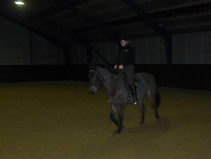 New Forest Kenzo Amarine  - jaa her rider jeg igen!  billede 13