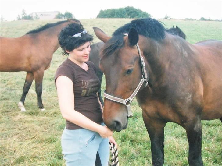 Oldenborg Debbie *gammel part* - Elsker den hest så højt <´3 billede 9