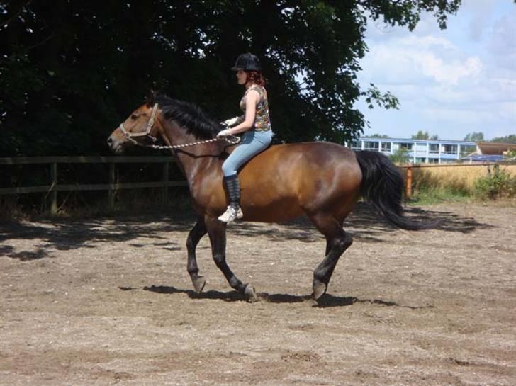 Oldenborg Debbie *gammel part* - 9/7, Galop. Fotograf: Nina billede 10