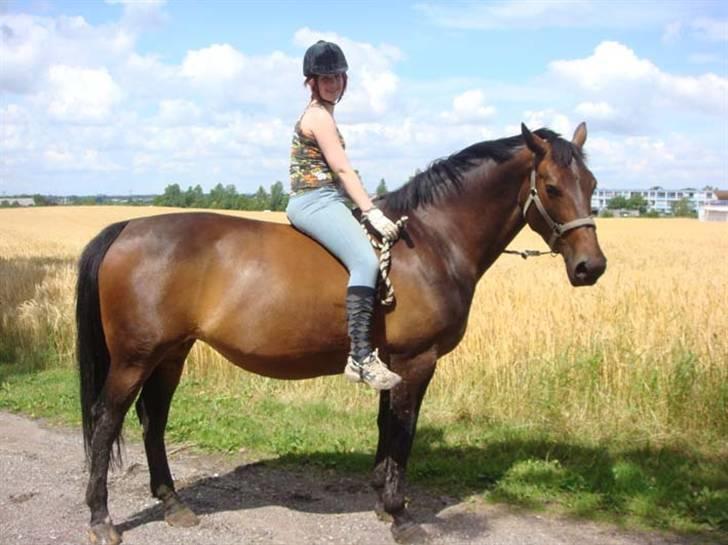 Oldenborg Debbie *gammel part* - 9/7, Opstilling. Fotograf: Nina billede 12