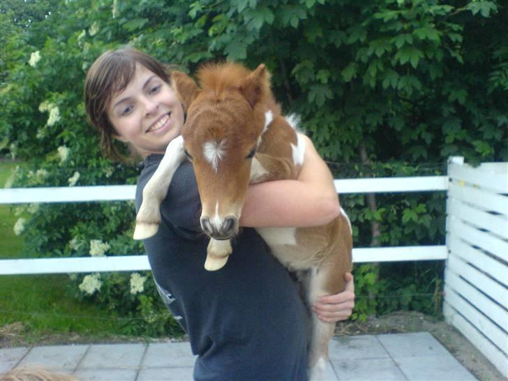 Miniature Elvis R.I.P - Gitte og Elvis. <3  billede 5