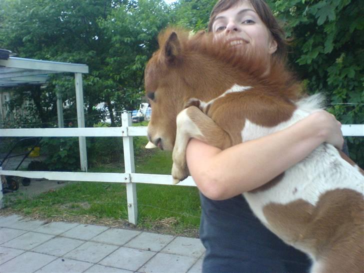 Miniature Elvis R.I.P - Elvis og Gitte igen . <3  billede 8