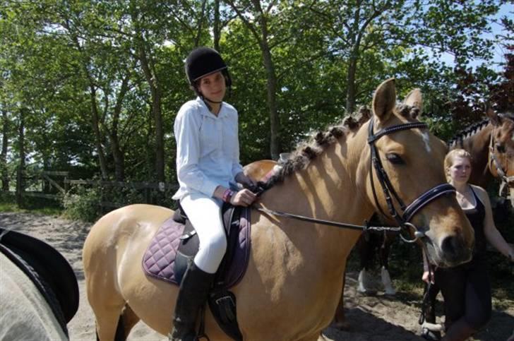 Anden særlig race Julie - super gald liqe før stævene (: billede 8