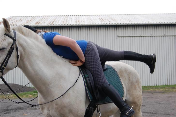 Anden særlig race Winner [Tidligere part] - Aller sidste gang jeg stiger af Winner /: - Taget af Nanna den 30. april 2008. billede 20