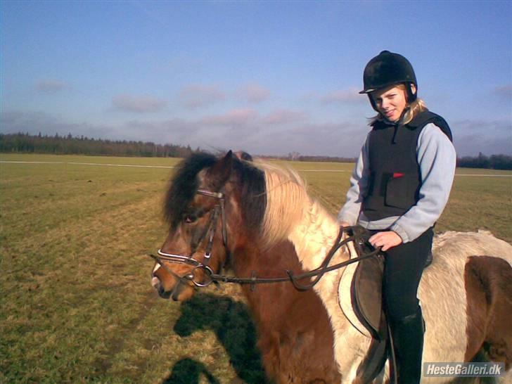 Anden særlig race Dixie R.I.P. - Dixie og Jeanette på ridetur billede 4