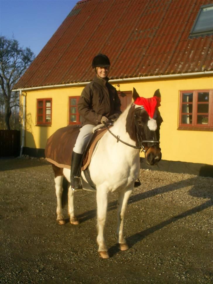 Pinto Puk *Solgt* - Mig og Puk lige efter en juleridetur med vores ridetur venner:P Foto: min mor billede 6